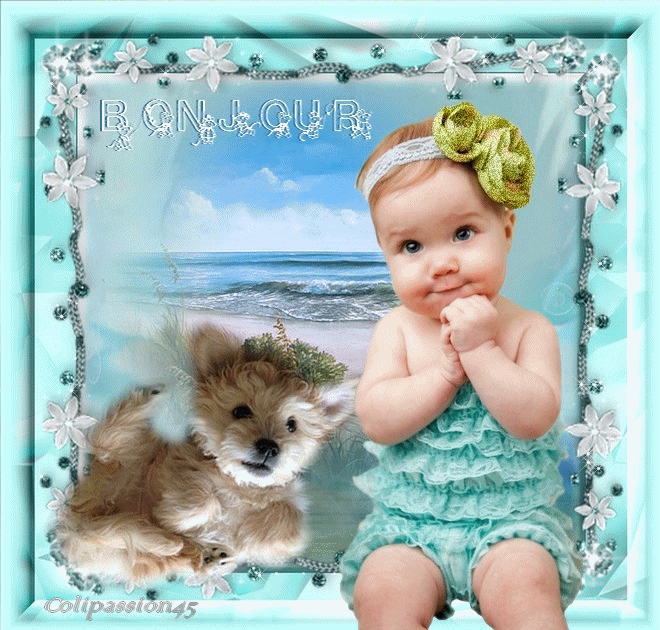 Image du Blog colibri45.centerblog.net